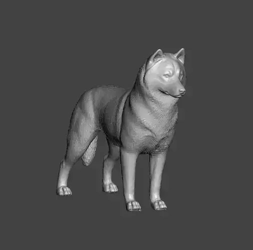 Siberian Husky Dog 3D print model
