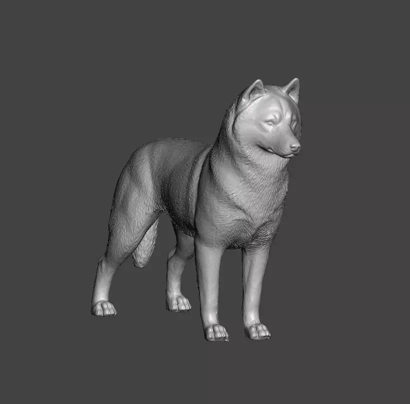 Siberian Husky Dog 3D print model_0
