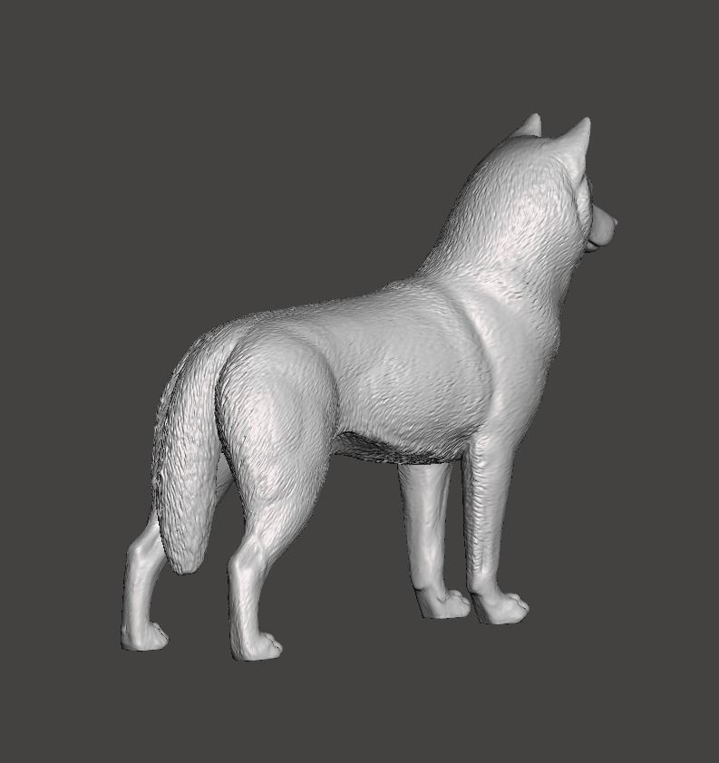 Siberian Husky Dog 3D print model_2