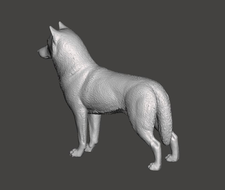 Siberian Husky Dog 3D print model_3