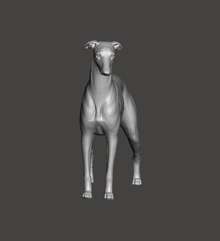 Greyhound Dog 3D print model_2
