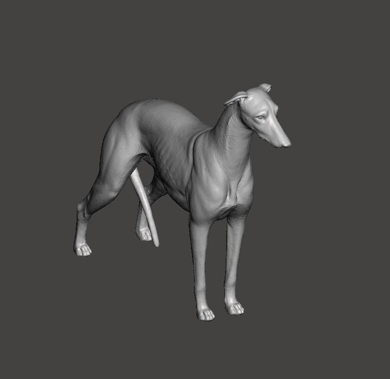 Greyhound Dog 3D print model_1