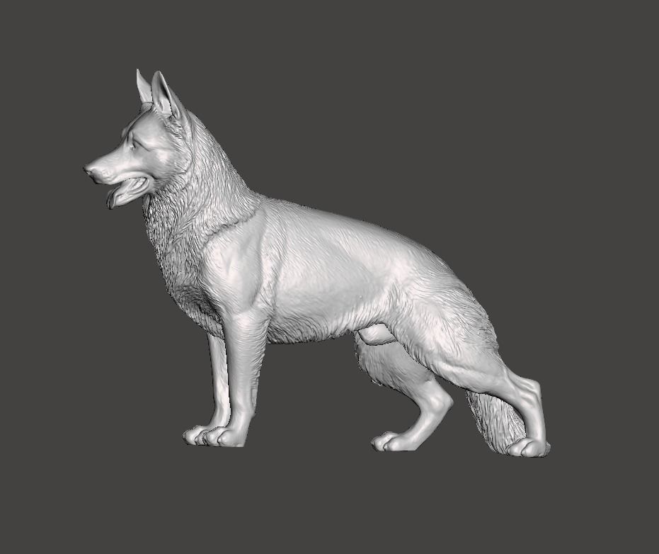 German Shepherd Dog 3D print model_1