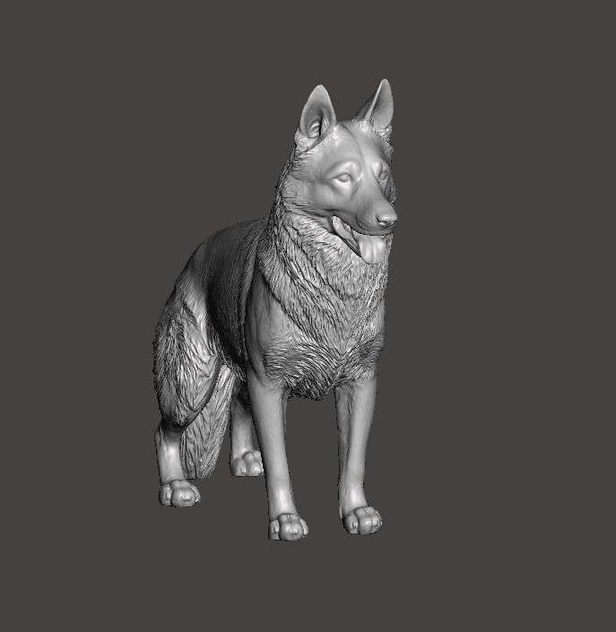 German Shepherd Dog 3D print model_5