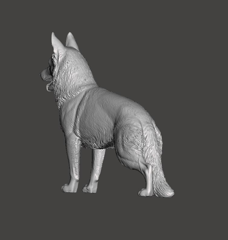 German Shepherd Dog 3D print model_2