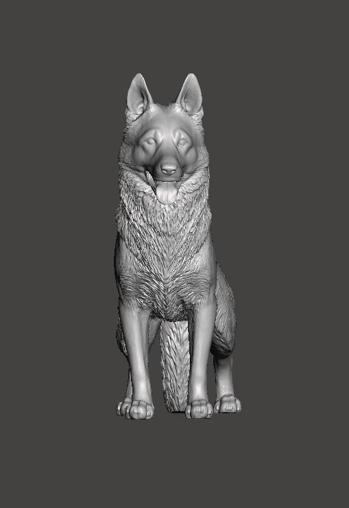 German Shepherd Dog 3D print model_6