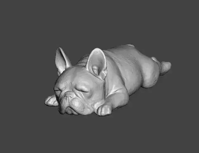 French Bulldog Cute Sleeping 2