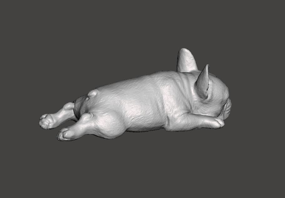 French Bulldog Cute Sleeping 2 3D print model_5