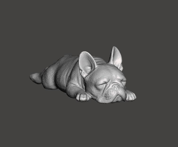 French Bulldog Cute Sleeping 2 3D print model_7