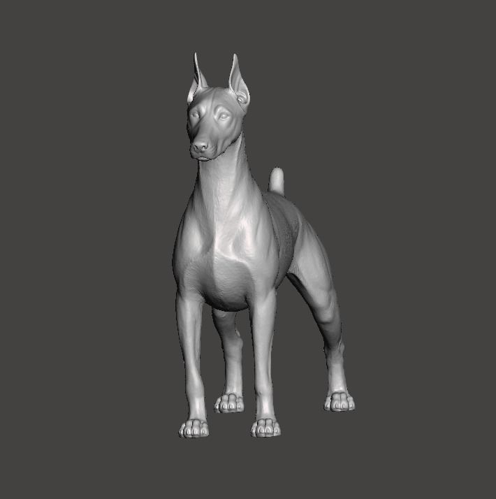 Doberman Pinscher Dog 3D print model_6