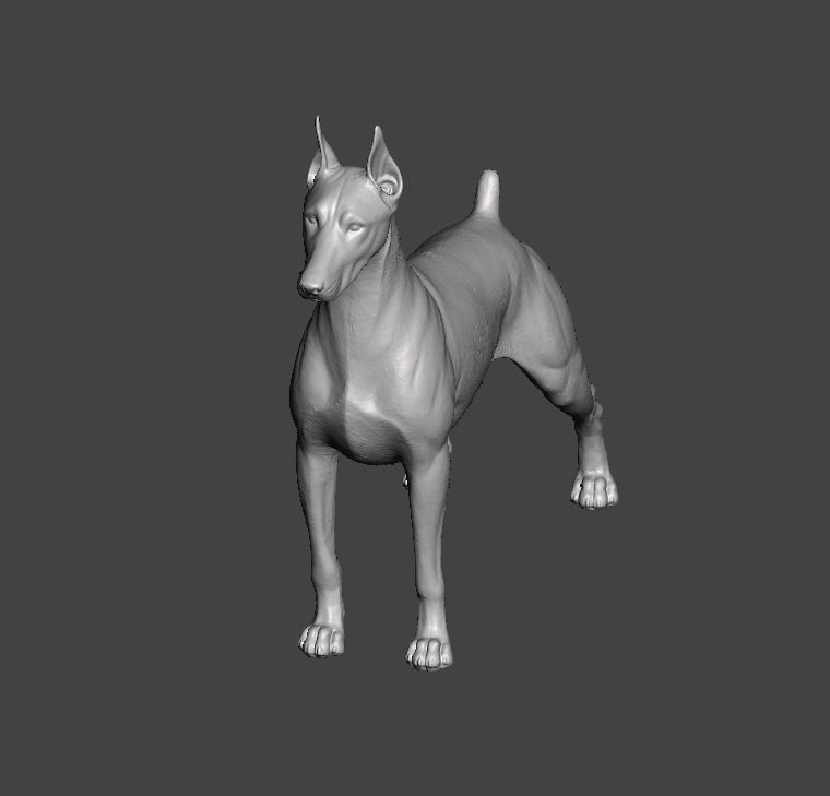 Doberman Pinscher Dog 3D print model_5