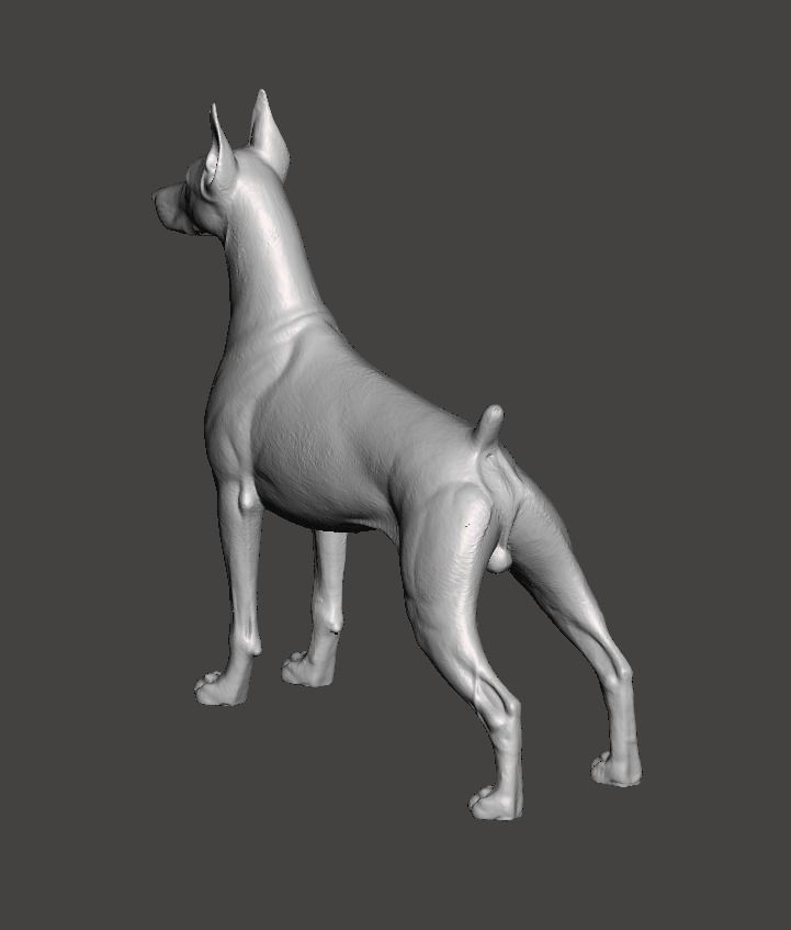 Doberman Pinscher Dog 3D print model_3