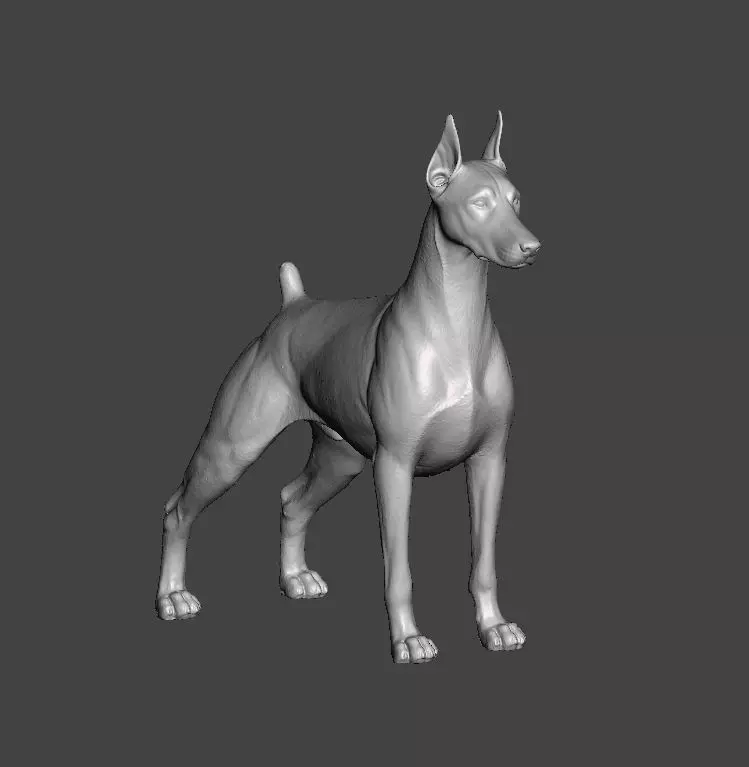 Doberman Pinscher Dog 3D print model_0
