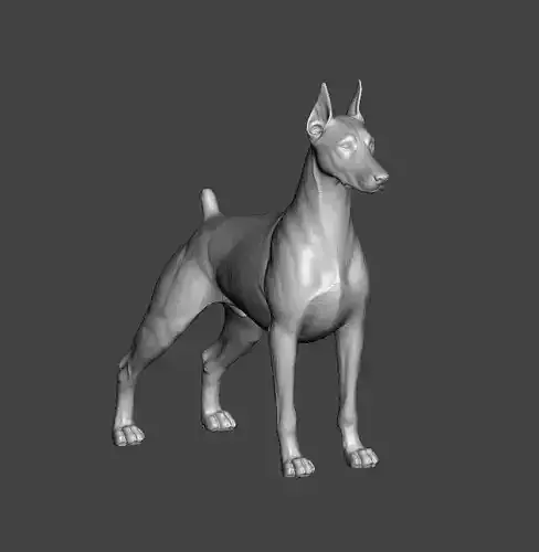 Doberman Pinscher Dog 3D print model