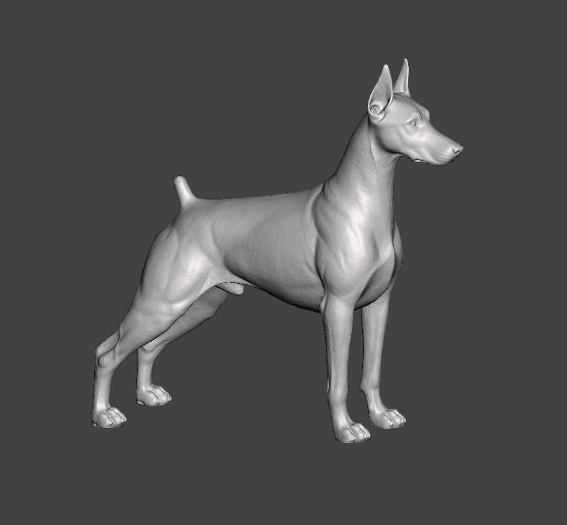 Doberman Pinscher Dog 3D print model_1