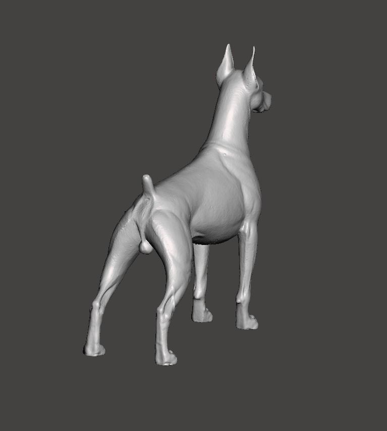 Doberman Pinscher Dog 3D print model_2
