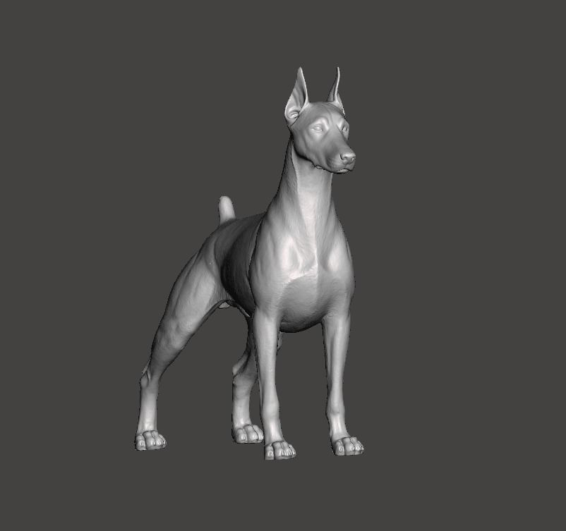Doberman Pinscher Dog 3D print model_7
