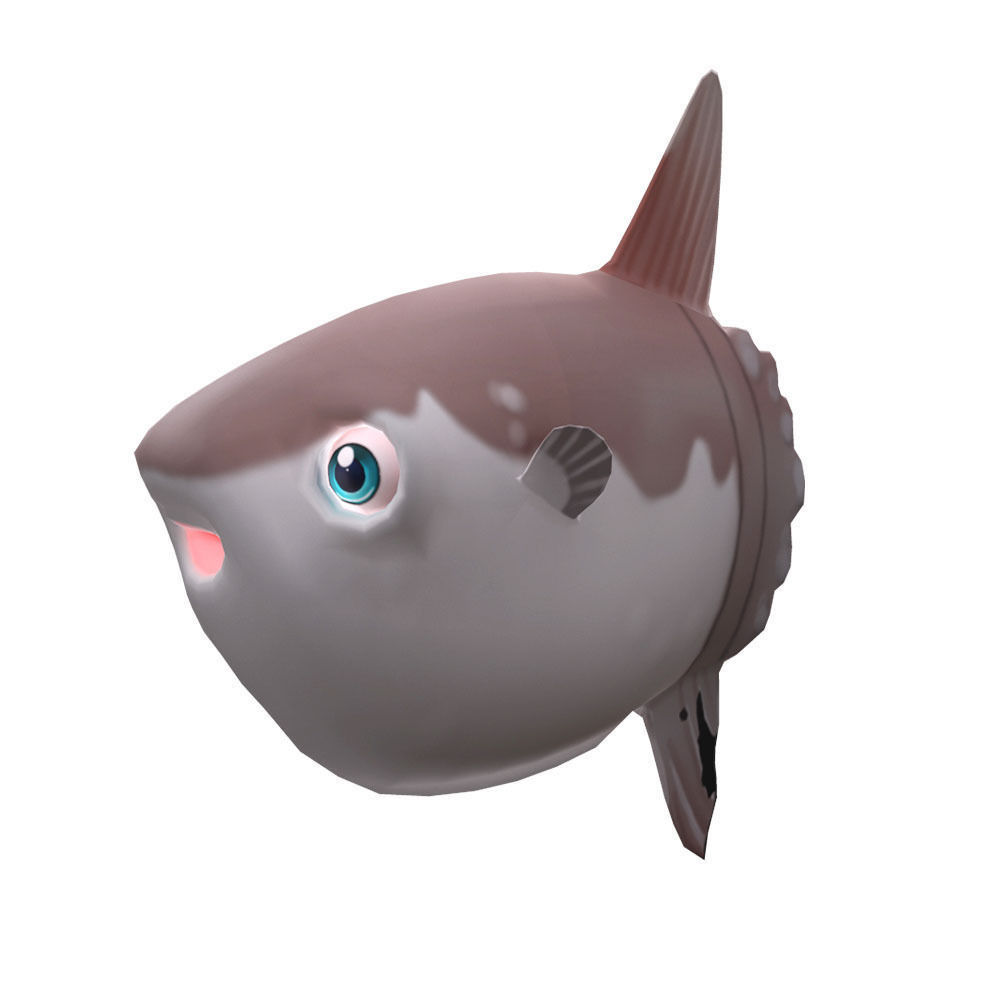 Mola Mola Animated Fish  Low-poly 3D model_3