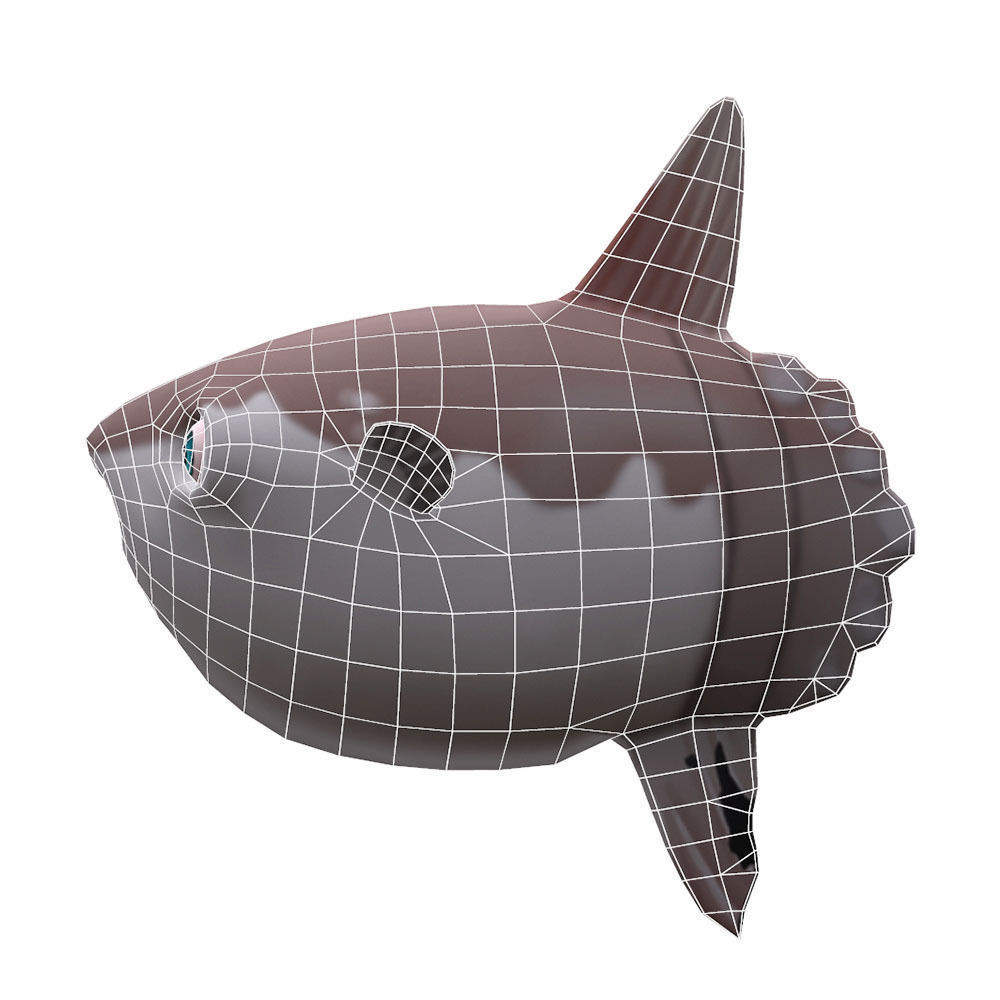 Mola Mola Animated Fish  Low-poly 3D model_6