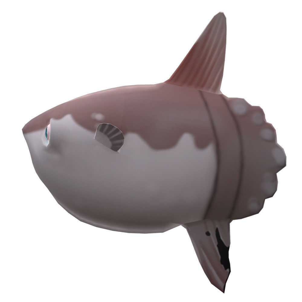 Mola Mola Animated Fish  Low-poly 3D model_1