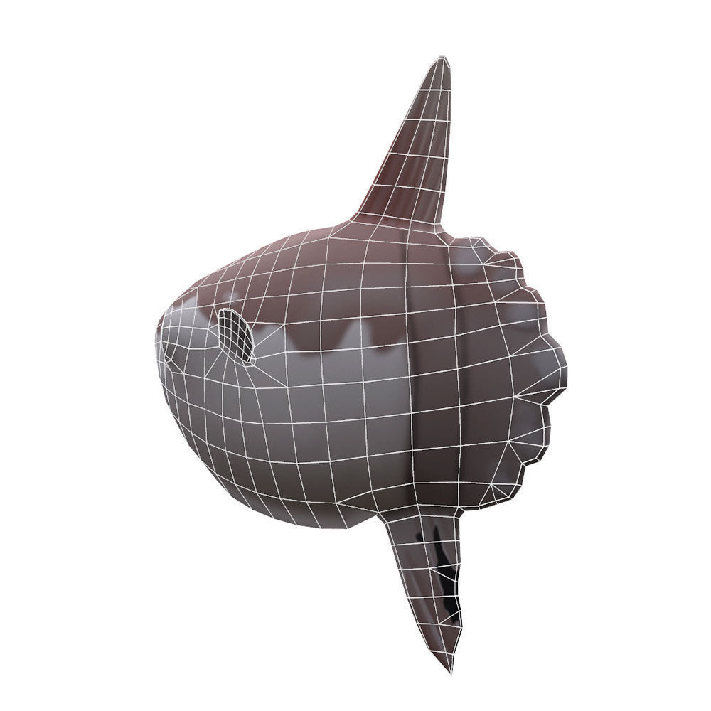Mola Mola Animated Fish  Low-poly 3D model_5