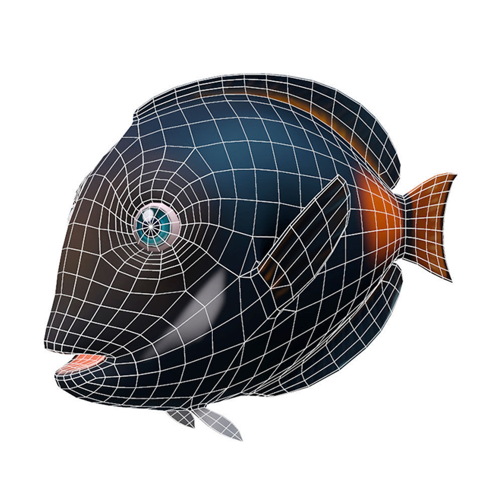 Achilles Tang Animated Fish  Low-poly 3D model_4