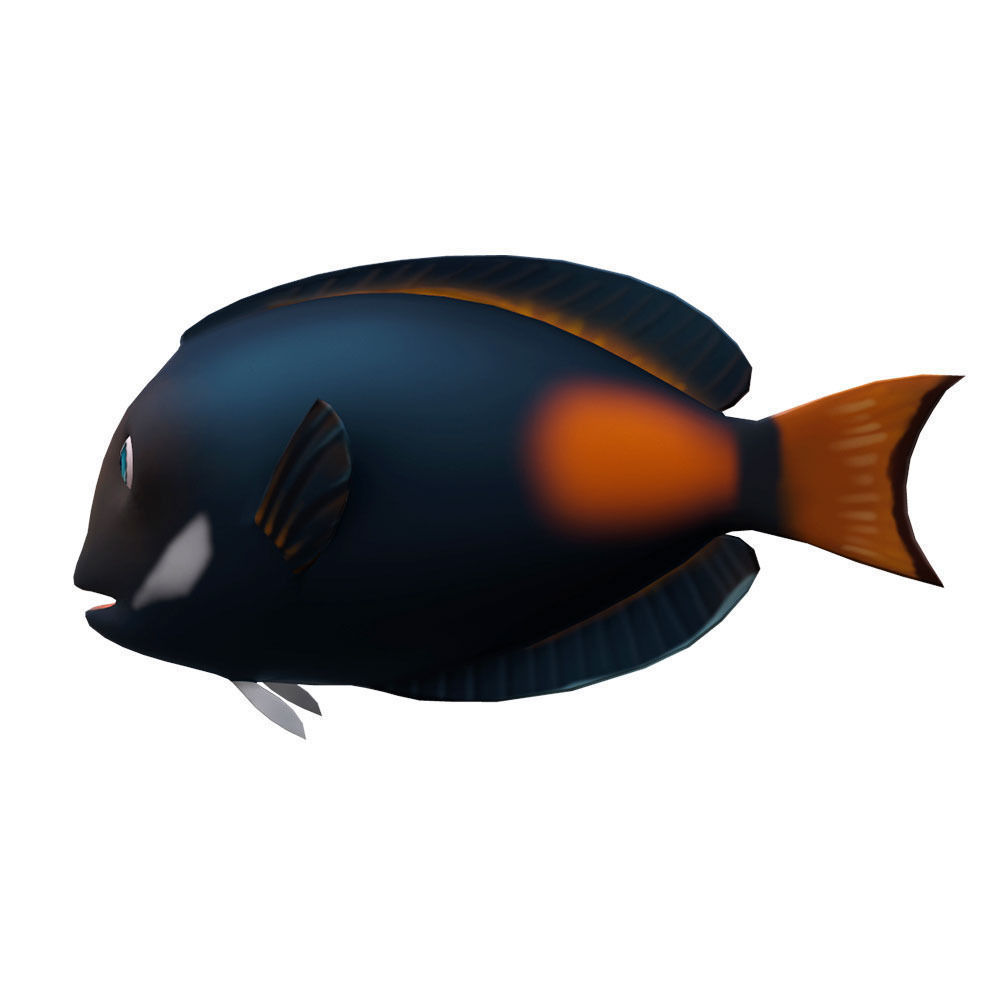 Achilles Tang Animated Fish  Low-poly 3D model_2
