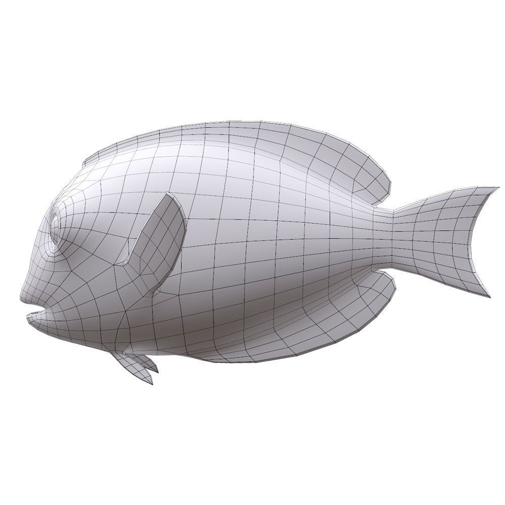 Achilles Tang Animated Fish  Low-poly 3D model_7
