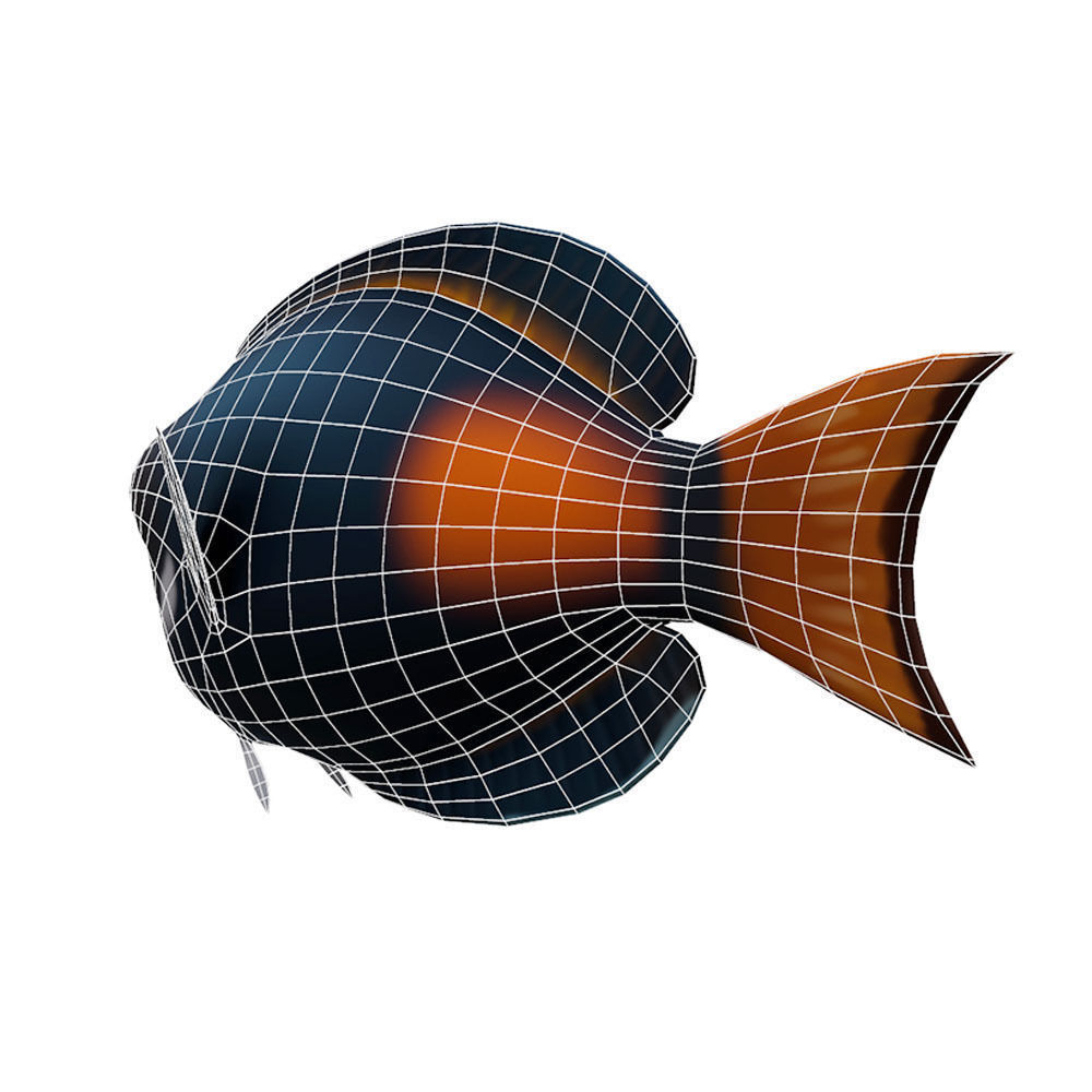 Achilles Tang Animated Fish  Low-poly 3D model_5