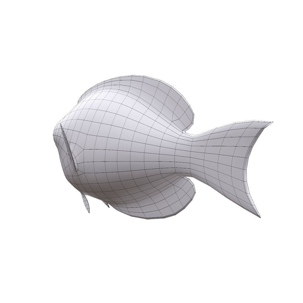Achilles Tang Animated Fish  Low-poly 3D model_8