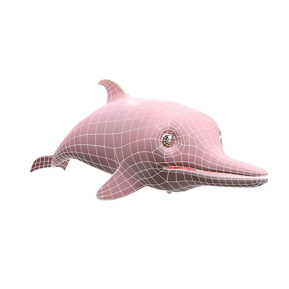 Amazon Pink Dolphin fish Animated  Low-poly 3D model_5