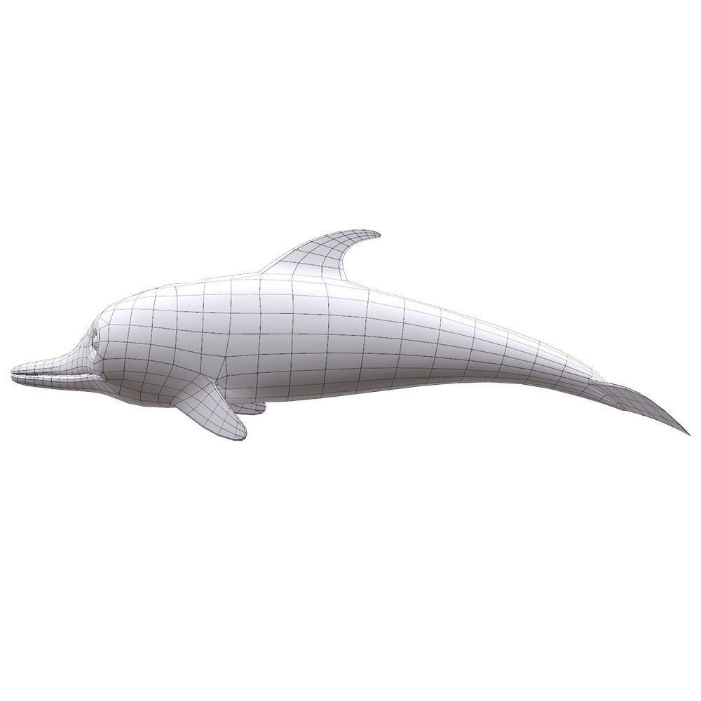 Amazon Pink Dolphin fish Animated  Low-poly 3D model_8