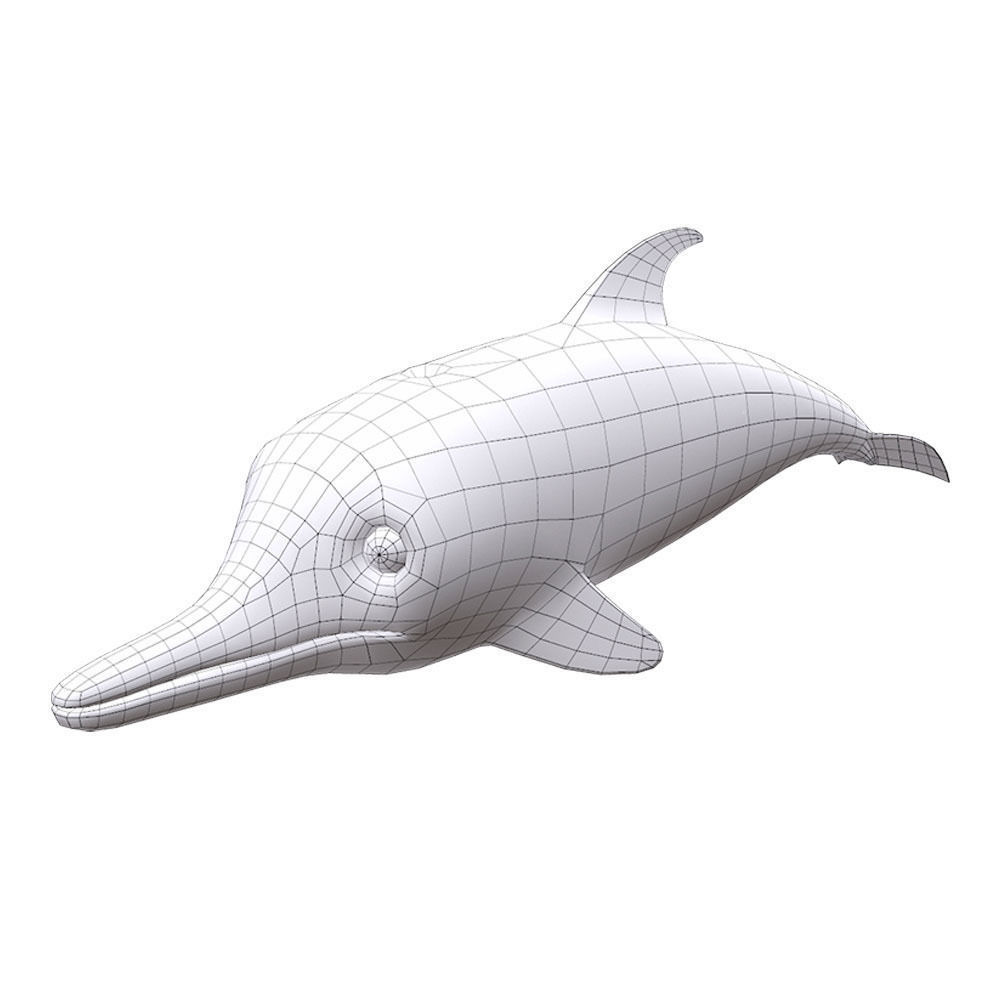Amazon Pink Dolphin fish Animated  Low-poly 3D model_7