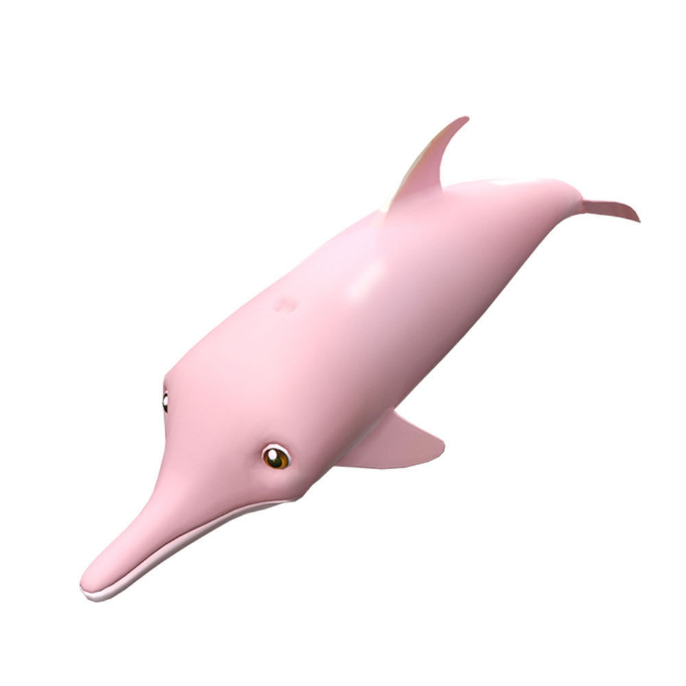 Amazon Pink Dolphin fish Animated  Low-poly 3D model_1