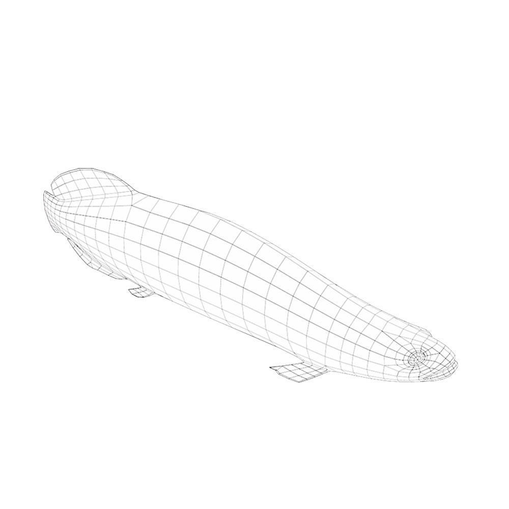 Pirarucu Animated Fish  Low-poly 3D model_6