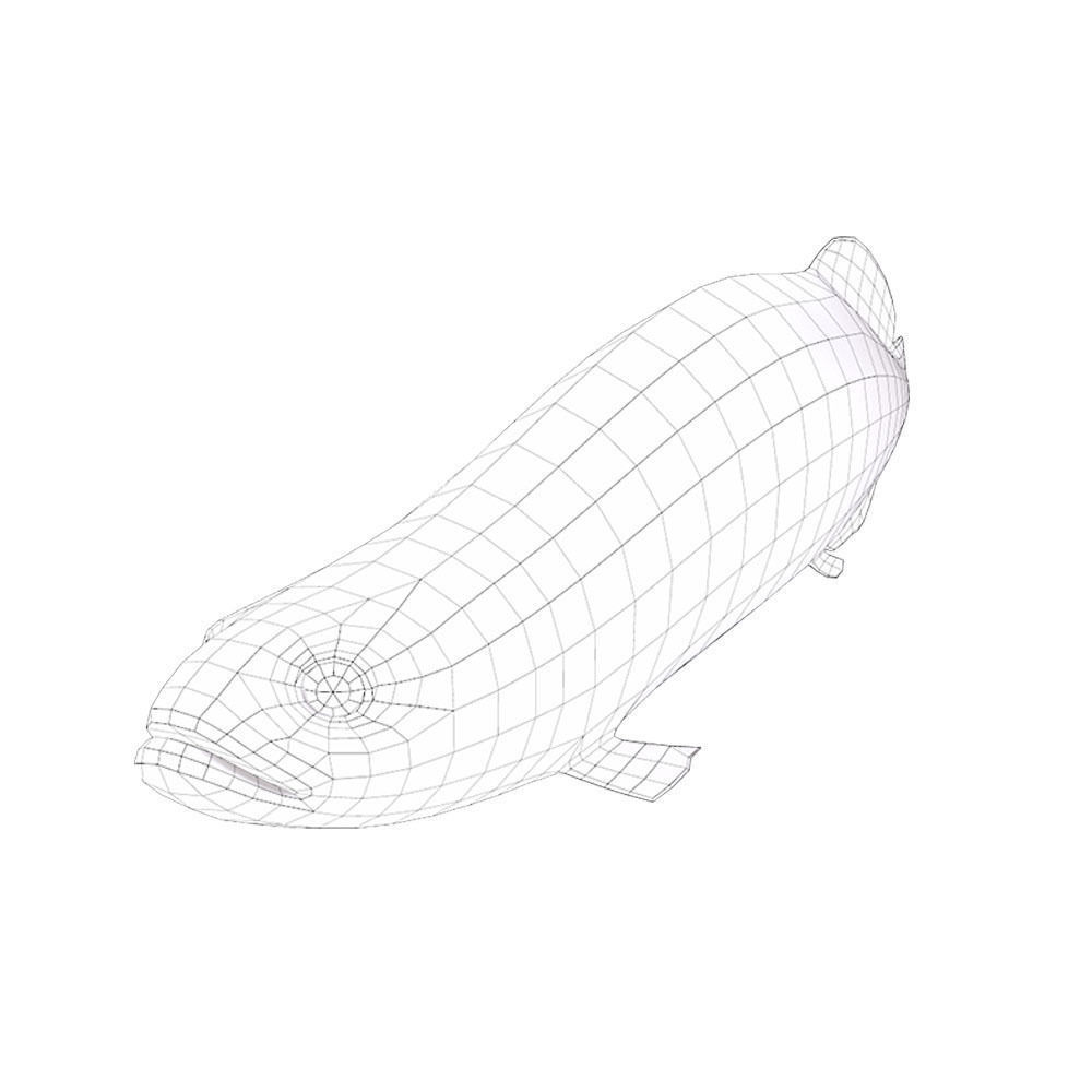 Pirarucu Animated Fish  Low-poly 3D model_8
