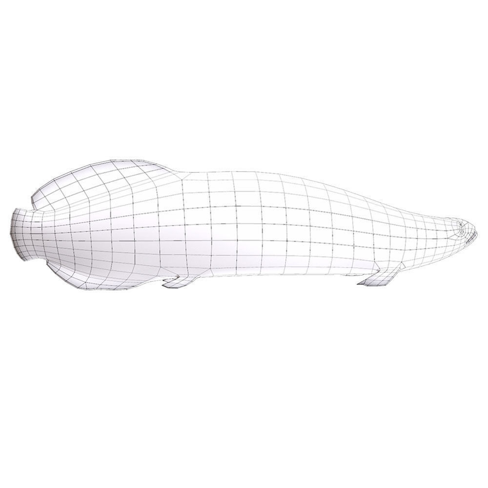 Pirarucu Animated Fish  Low-poly 3D model_5