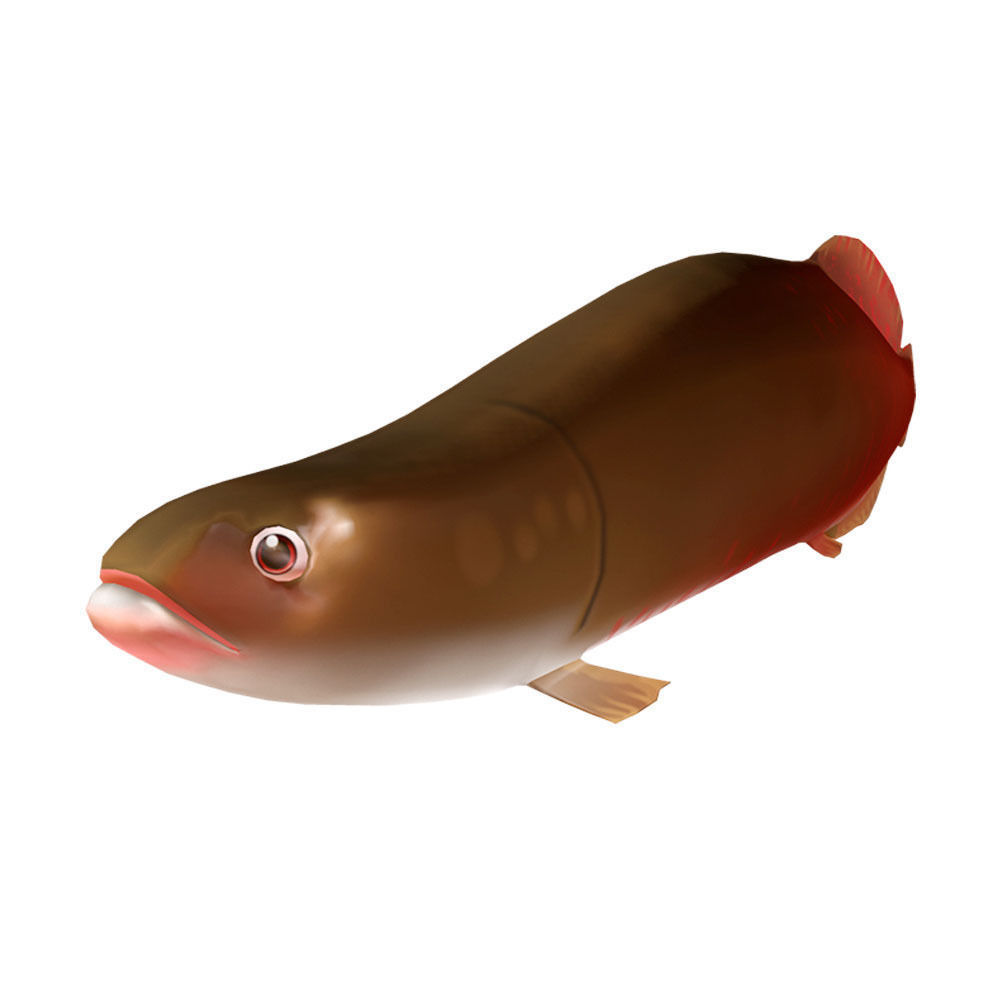 Pirarucu Animated Fish  Low-poly 3D model_1