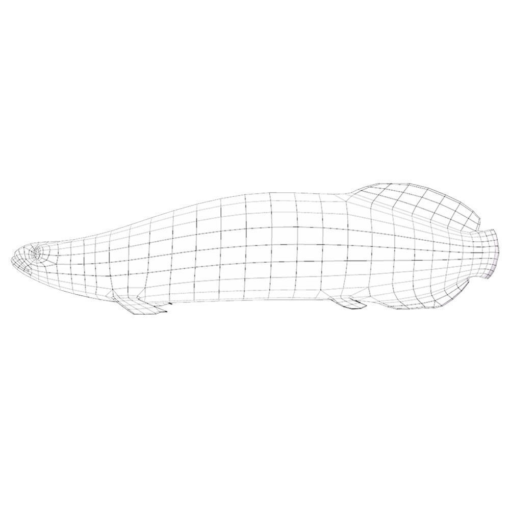 Pirarucu Animated Fish  Low-poly 3D model_7