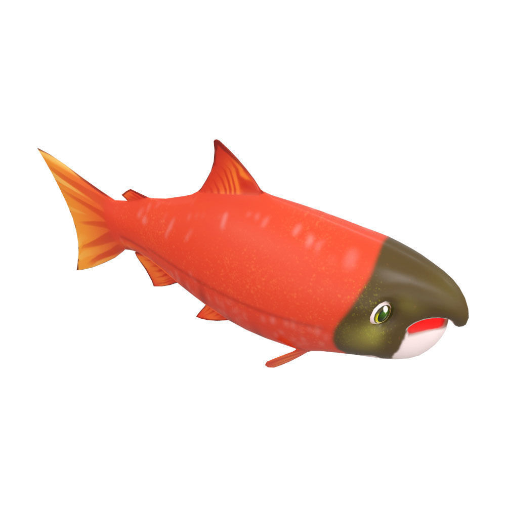 Chinook King Salmon fish Animated  Low-poly 3D model_1
