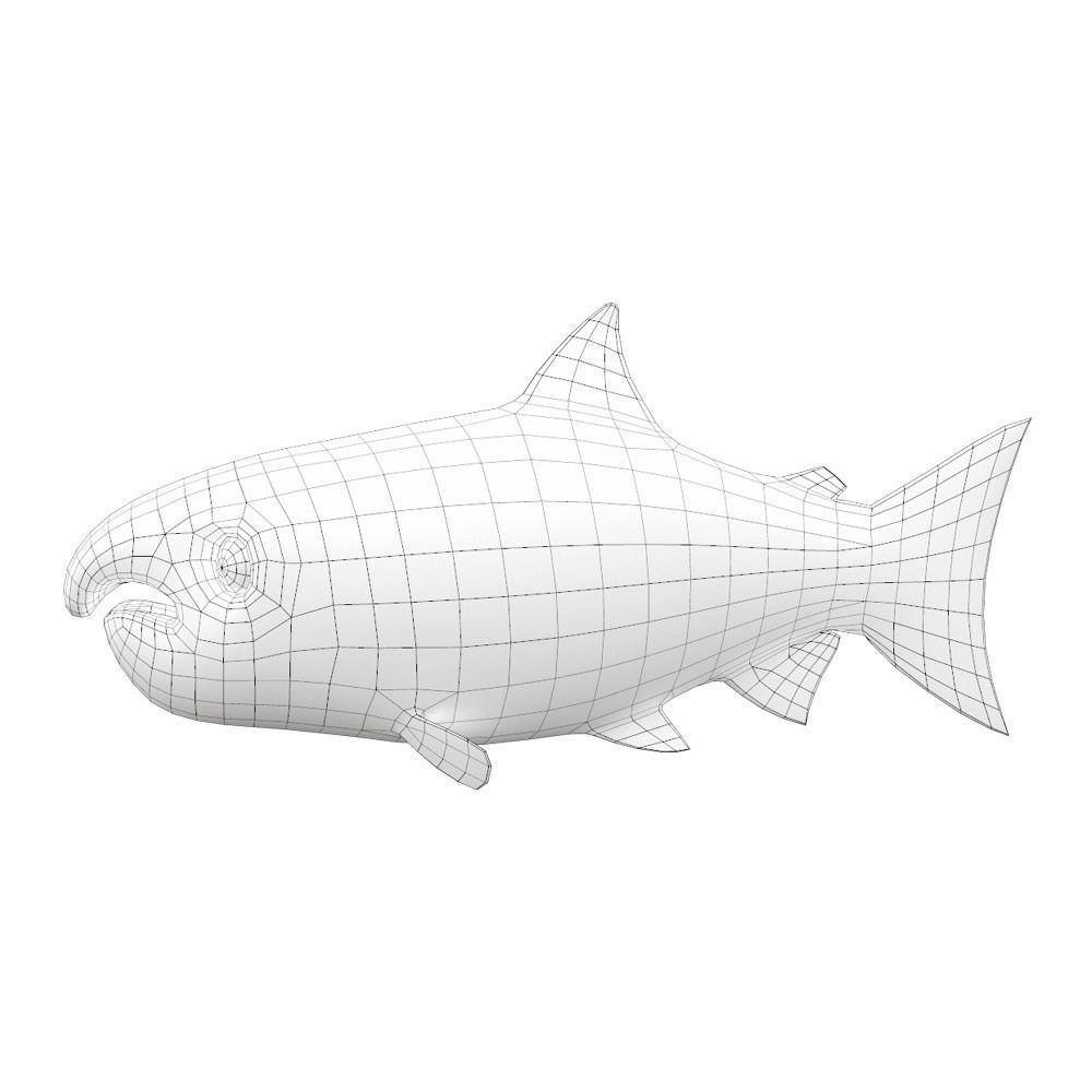 Chinook King Salmon fish Animated  Low-poly 3D model_7