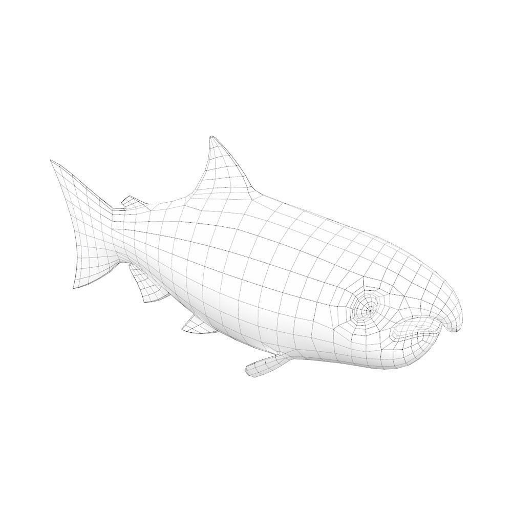 Chinook King Salmon fish Animated  Low-poly 3D model_9