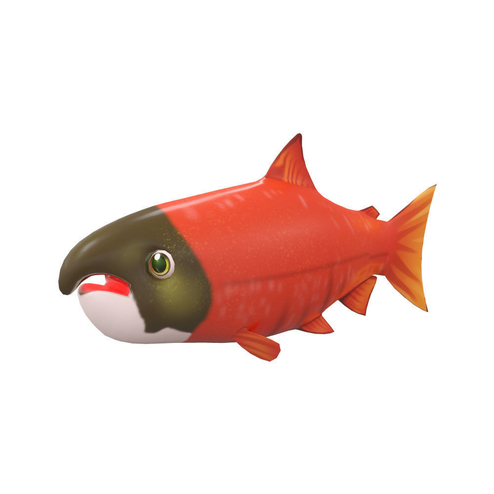 Chinook King Salmon fish Animated  Low-poly 3D model_3