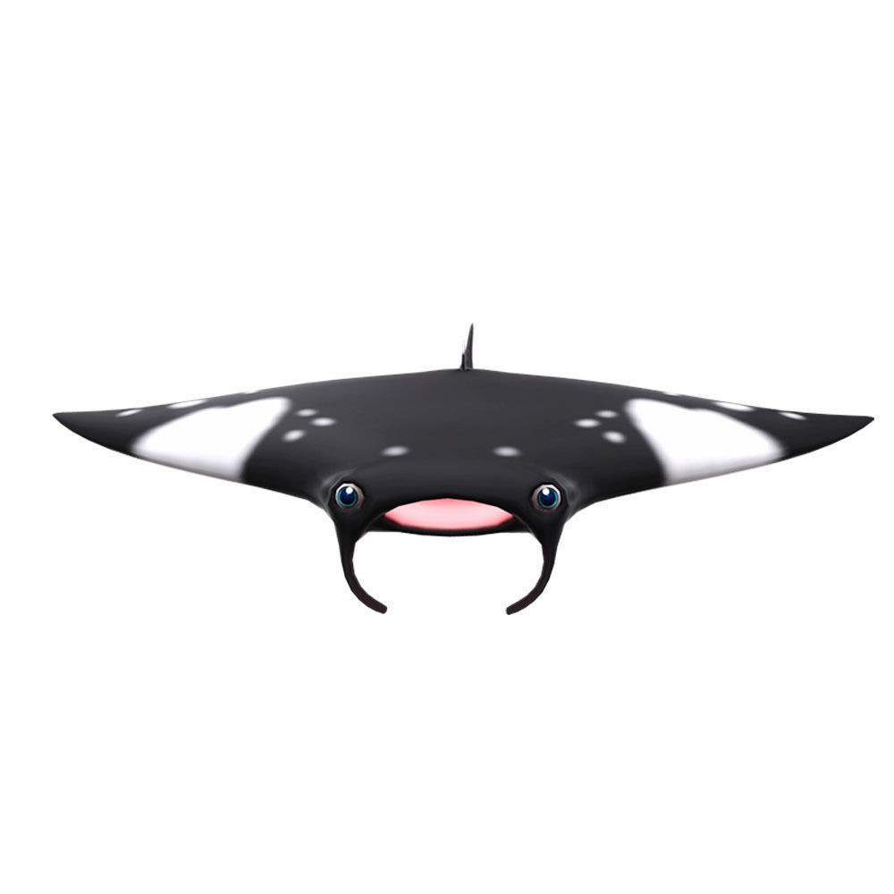 Giant Oceanic Manta ray Animated Fish  Low-poly 3D model_2