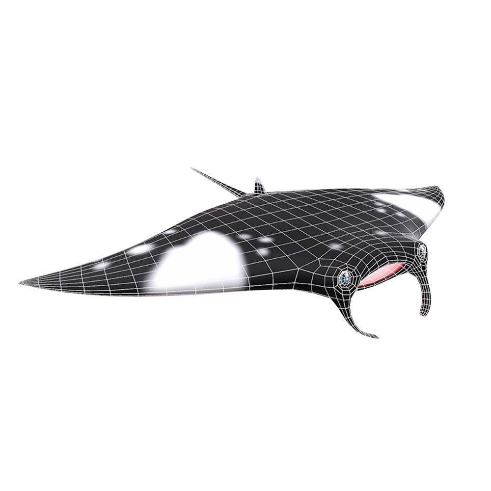 Giant Oceanic Manta ray Animated Fish  Low-poly 3D model_5
