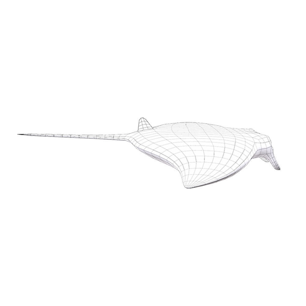 Giant Oceanic Manta ray Animated Fish  Low-poly 3D model_9