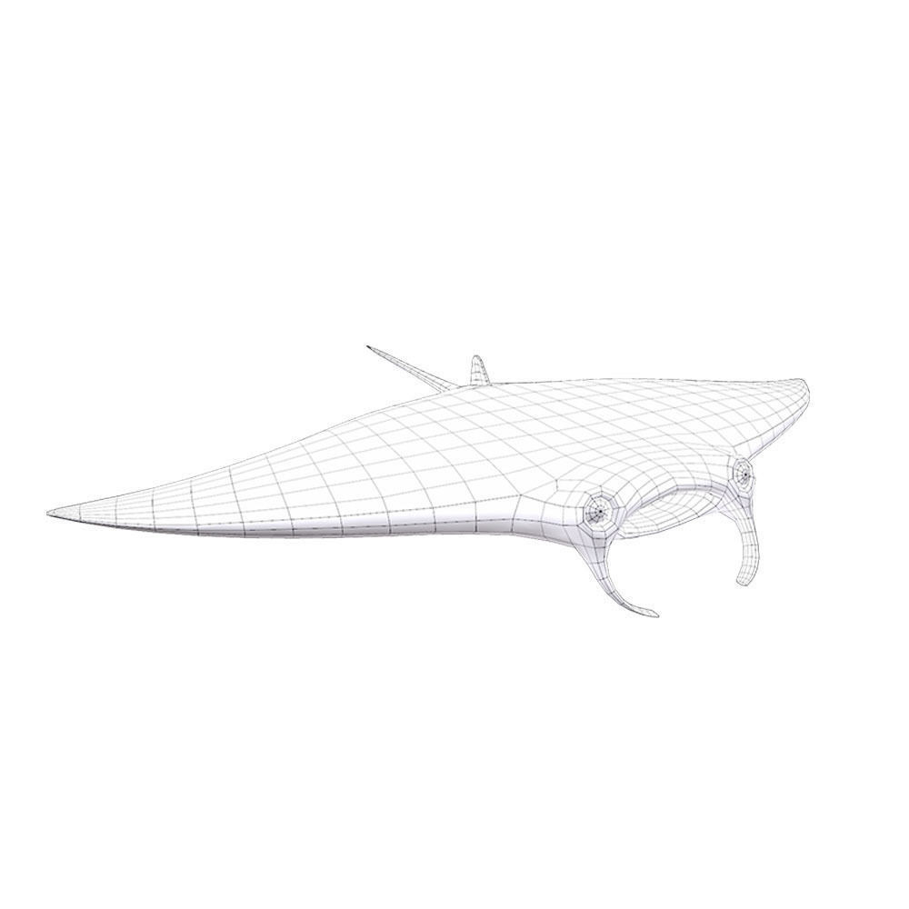 Giant Oceanic Manta ray Animated Fish  Low-poly 3D model_8