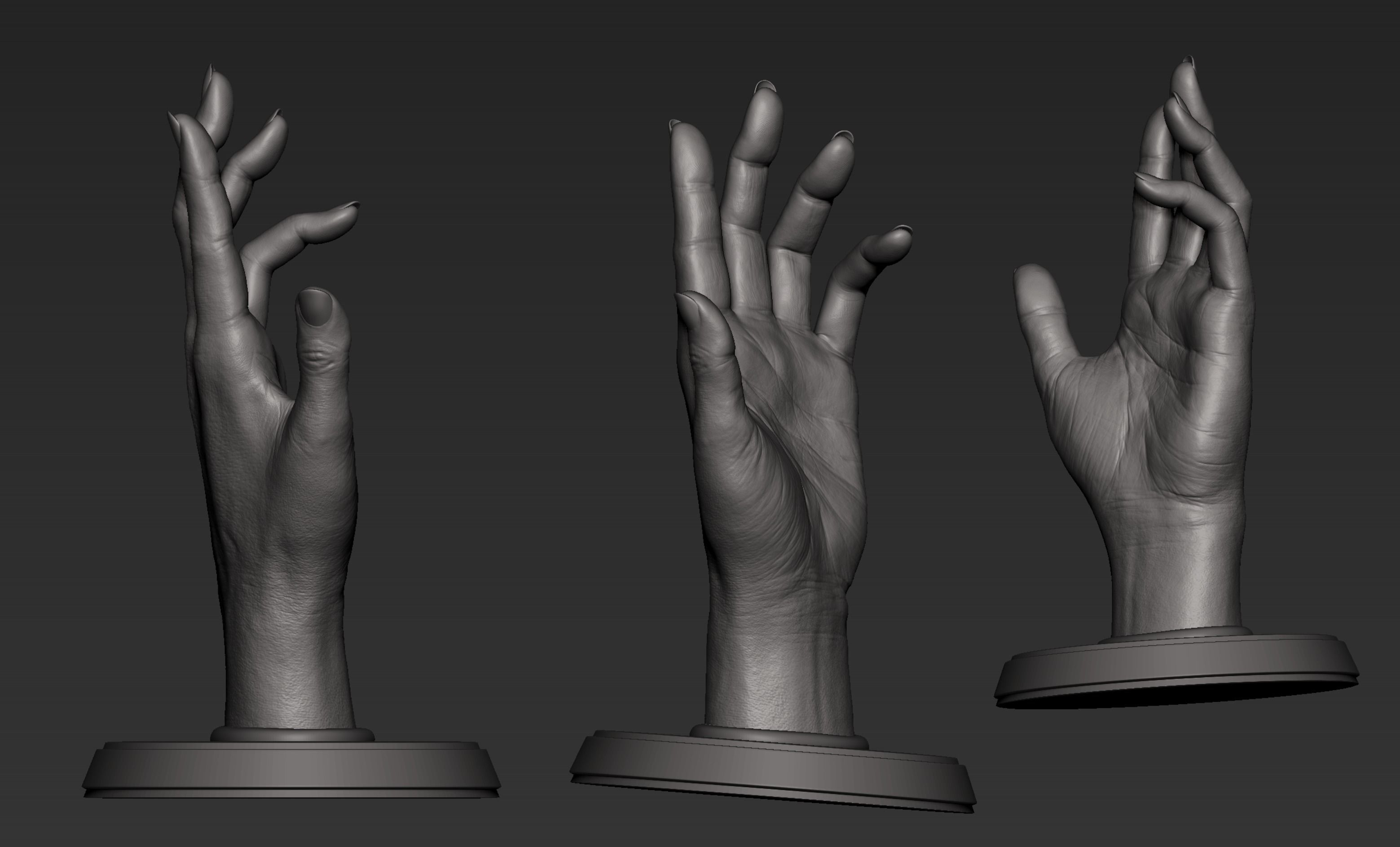 Hand 3d Print 3D print model_7