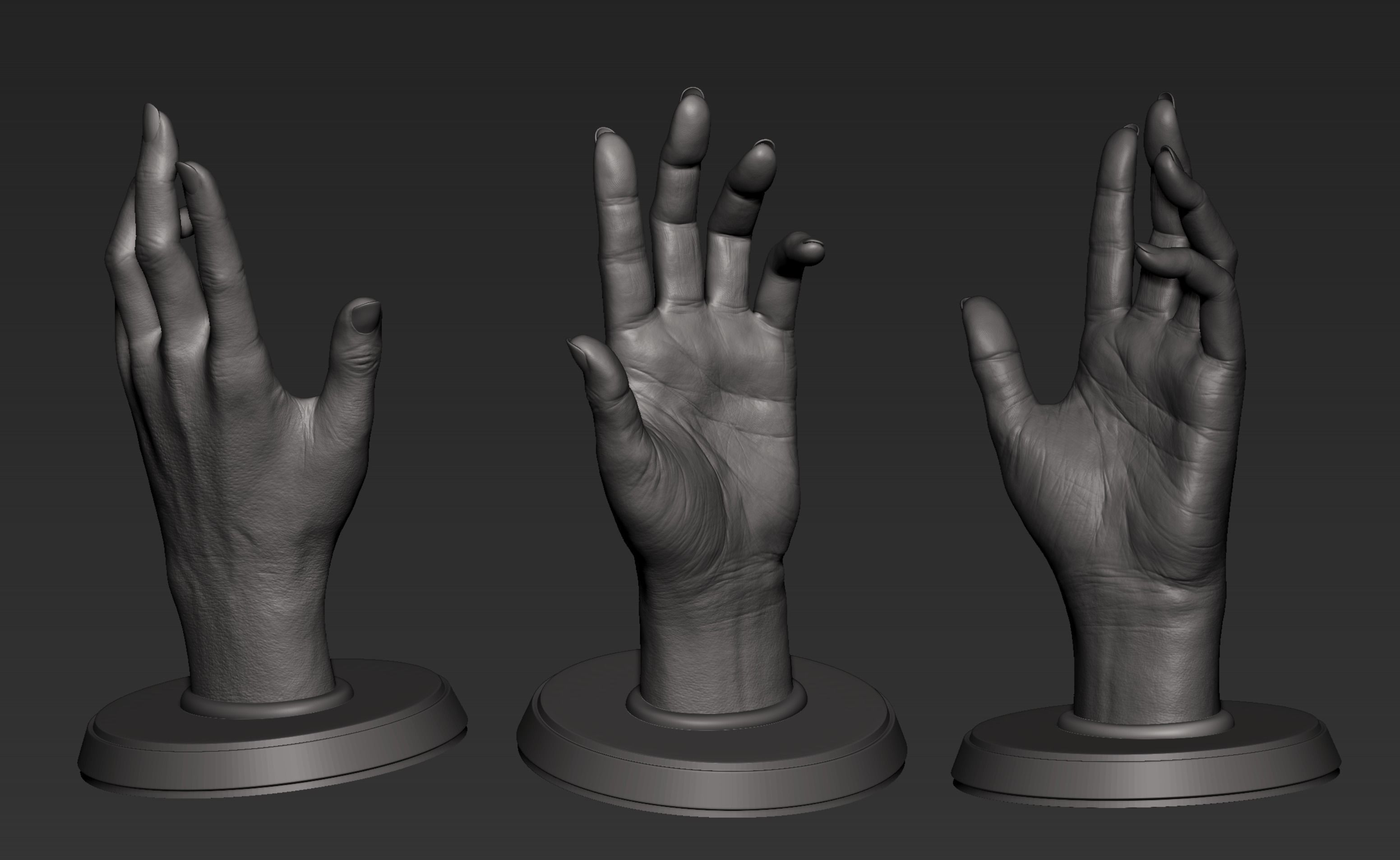 Hand 3d Print 3D print model_2