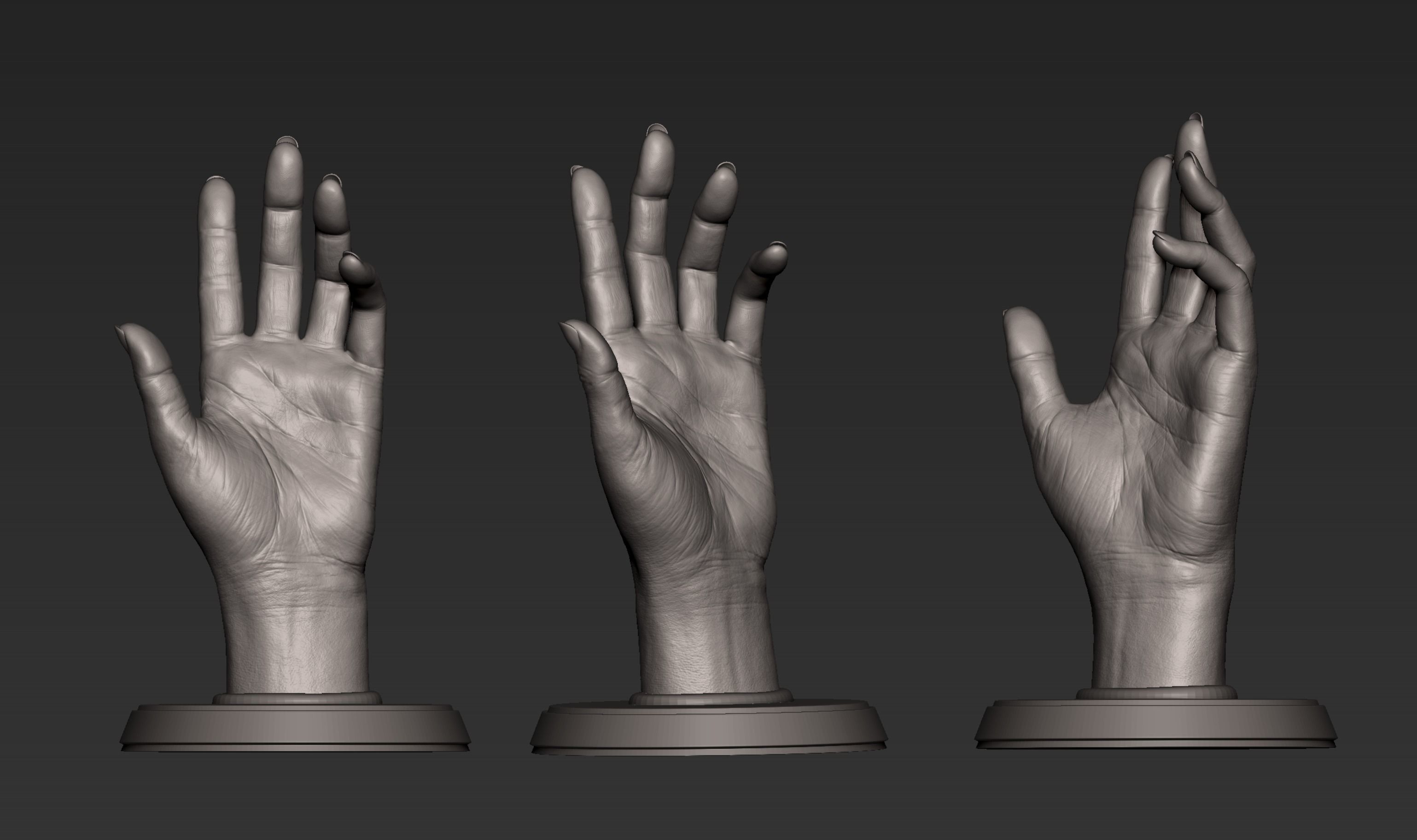 Hand 3d Print 3D print model_6